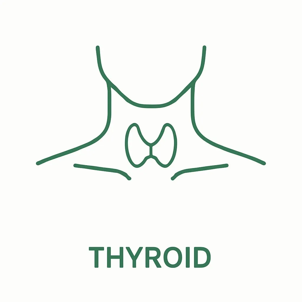 Thyroid